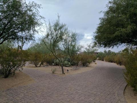 4042 E Fanfol Dr, Phoenix, AZ 85028 photo 53