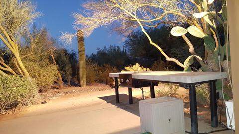 4042 E Fanfol Dr, Phoenix, AZ 85028 photo 46