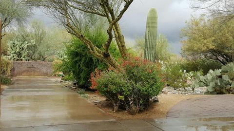 4042 E Fanfol Dr, Phoenix, AZ 85028 photo 38