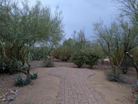4042 E Fanfol Dr, Phoenix, AZ 85028 photo 50