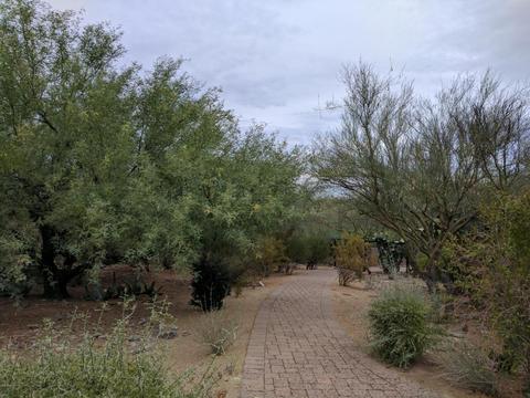 4042 E Fanfol Dr, Phoenix, AZ 85028 photo 52