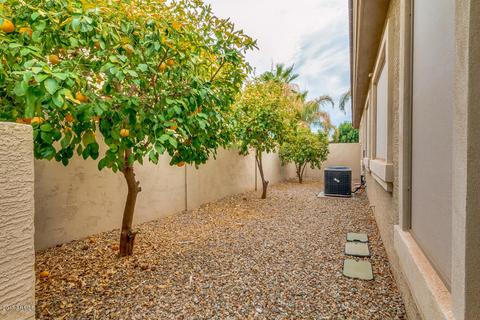 748 Elgin St, Gilbert, AZ 85295 photo 58
