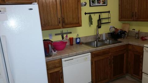 1529 E Palmdale Dr, Tempe, AZ 85282 photo 11