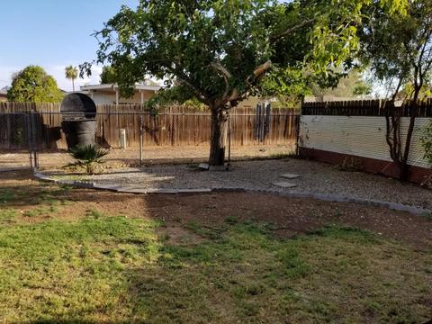 2133 E Larkspur Dr, Phoenix, AZ 85022 photo 14