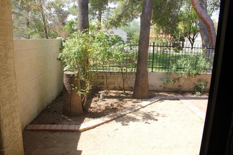 1521 E Laurel Ave, Gilbert, AZ 85234 photo 20
