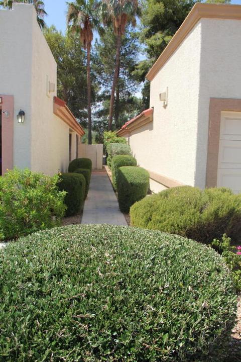 1521 E Laurel Ave, Gilbert, AZ 85234 photo 3