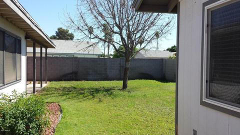 413 E Julie Dr, Tempe, AZ 85283 photo 19