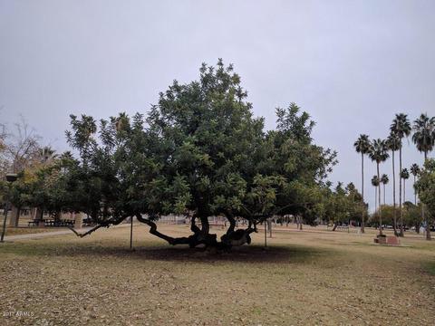 511 E Solana Dr, Tempe, AZ 85281 photo 42