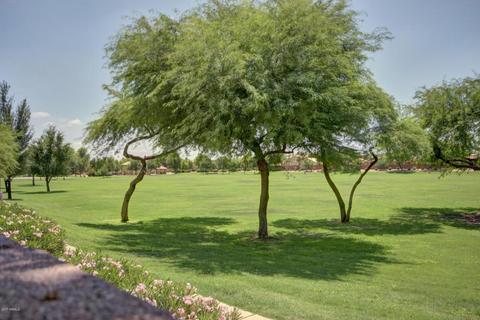 1279 E Century Ave, Gilbert, AZ 85296 photo 25