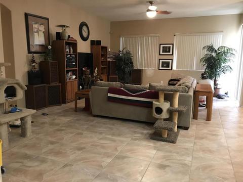 8716 E Hillview St, Mesa, AZ 85207 photo 5