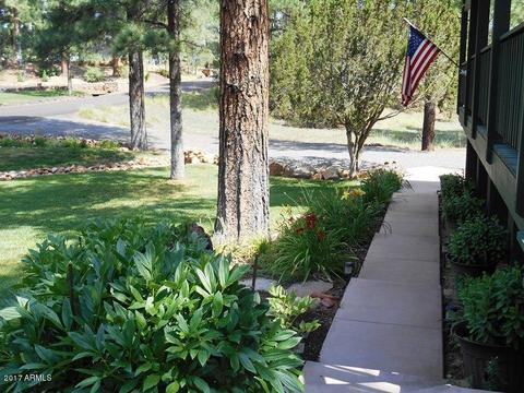 3343 Pine Ridge Dr, Overgaard, AZ 85933 photo 14