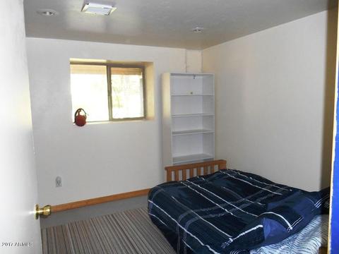 3343 Pine Ridge Dr, Overgaard, AZ 85933 photo 41