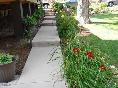 3343 Pine Ridge Dr, Overgaard, AZ 85933 photo 11