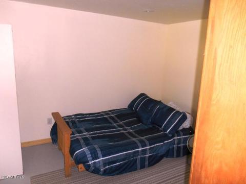 3343 Pine Ridge Dr, Overgaard, AZ 85933 photo 37