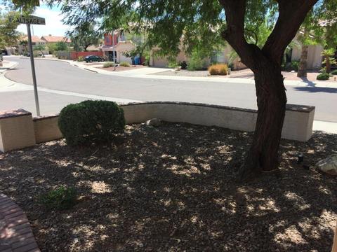 2902 E Saltsage Dr, Phoenix, AZ 85048 photo 34
