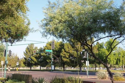 4630 E Voltaire Ave, Phoenix, AZ 85032 photo 31