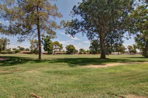 929 S Longwood Loop, Mesa, AZ 85208 photo 22