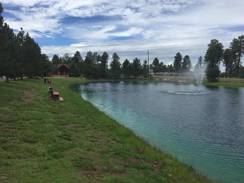 2230 Rodeo Rd, Overgaard, AZ 85933 photo 26
