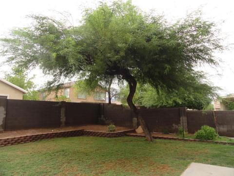 1968 E 38th Ave, Apache Junction, AZ 85119 photo 24