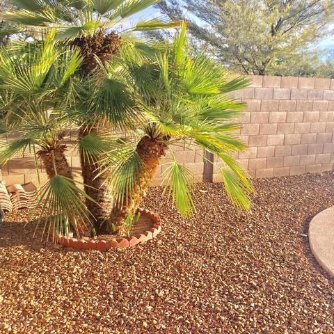 1529 E Princeton Ave, Gilbert, AZ 85234 photo 31