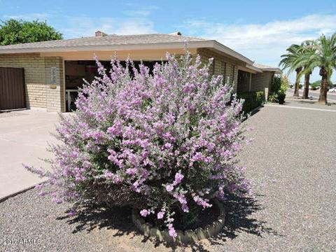 6047 E Colby St, Mesa, AZ 85205 photo 43
