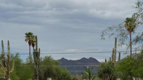 2646 W Virginia St, Apache Junction, AZ 85120 photo 39