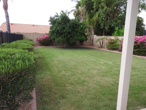 4651 E Michigan Ave, Phoenix, AZ 85032 photo 19