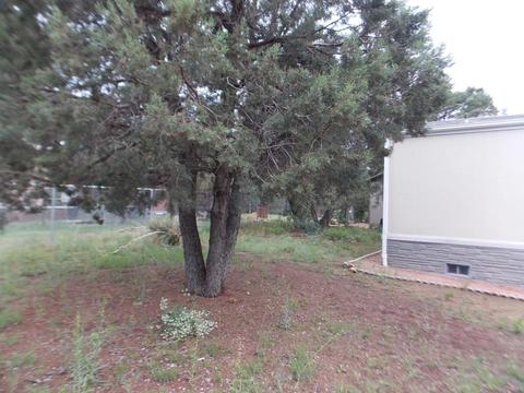 2115 Bluejay Rd, Overgaard, AZ 85933 photo 24