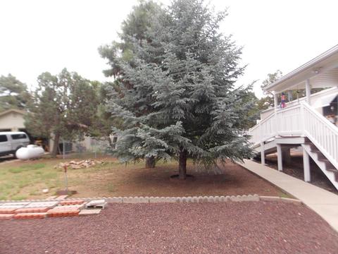 2115 Bluejay Rd, Overgaard, AZ 85933 photo 22