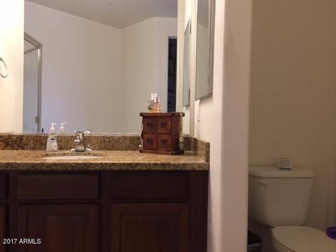 4738 E Culver St, Phoenix, AZ 85008 photo 21