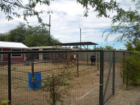 10902 E Sunland Ave, Mesa, AZ 85208 photo 45