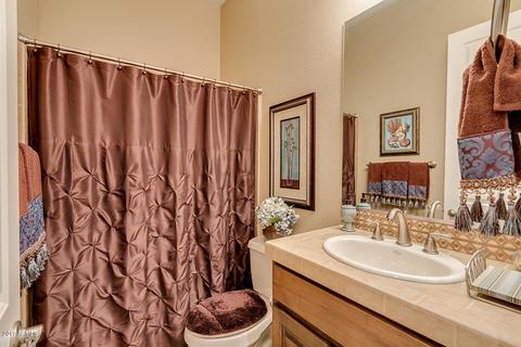 3960 E Nolan Dr, Chandler, AZ 85249 photo 62