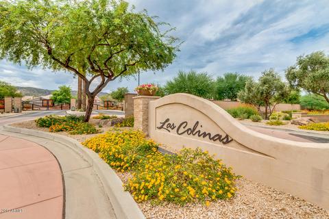 1621 E Beautiful Ln, Phoenix, AZ 85042 photo 30