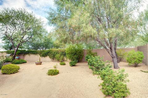 3530 E Robin Ln, Phoenix, AZ 85050 photo 46