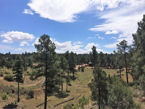 2260 Bogey Pl, Overgaard, AZ 85933 photo 21