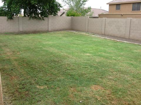 11465 E Sebring Ave, Mesa, AZ 85212 photo 24