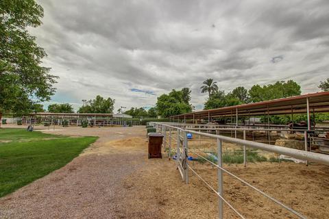 1068 El Freda Rd, Tempe, AZ 85284 photo 117
