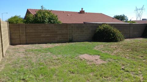 8045 E Colby St, Mesa, AZ 85207 photo 13