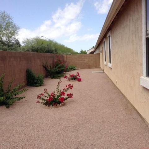3865 E Flower St, Gilbert, AZ 85298 photo 13