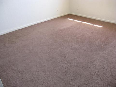 709 E Northview Ave, Phoenix, AZ 85020 photo 7