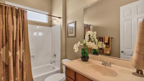 4520 E Carob Dr, Gilbert, AZ 85298 photo 5