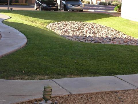 2124 E 10th St #2, Tempe, AZ 85281 photo 13
