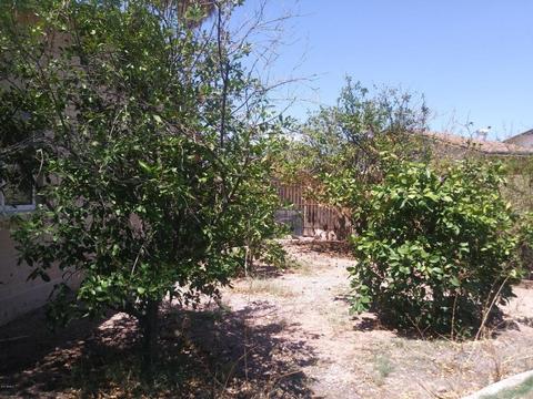 3217 El Moro Cir, Mesa, AZ 85204 photo 17
