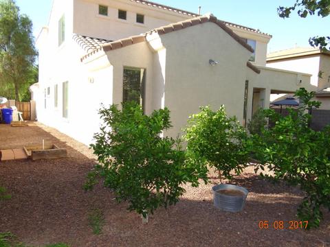 4409 E Maplewood St, Gilbert, AZ 85297 photo 29