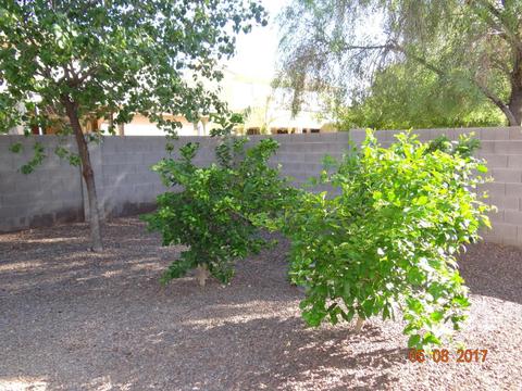4409 E Maplewood St, Gilbert, AZ 85297 photo 31