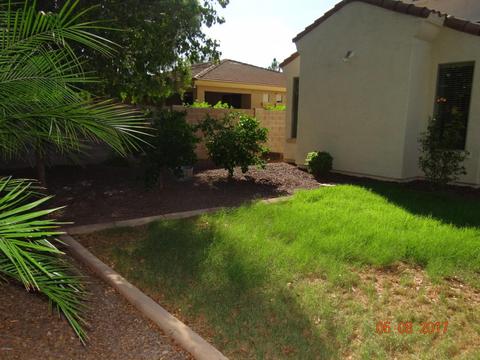 4409 E Maplewood St, Gilbert, AZ 85297 photo 33