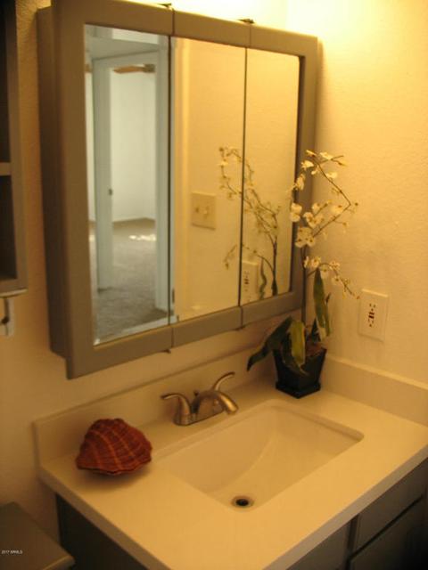 4532 E Capistrano Ave, Phoenix, AZ 85044 photo 9
