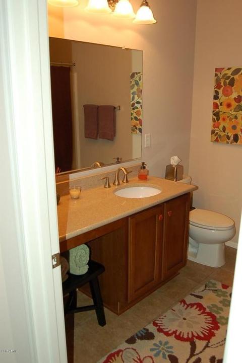 973 S Pheasant Dr, Gilbert, AZ 85296 photo 9