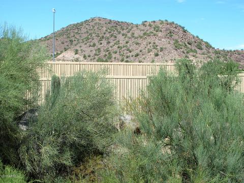 1722 E Behrend Dr, Phoenix, AZ 85024 photo 16