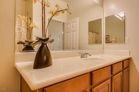 3131 E Legacy Dr #2103, Phoenix, AZ 85042 photo 28